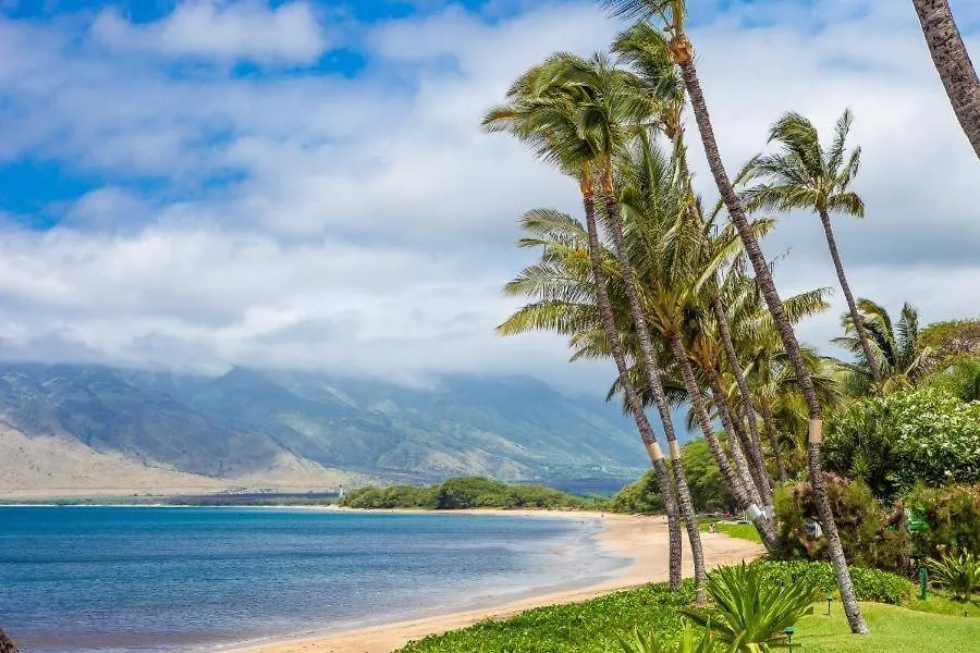 Sugar Beach Resort, #235 Condo Kihei Διαμέρισμα